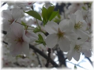 上野に集合♪