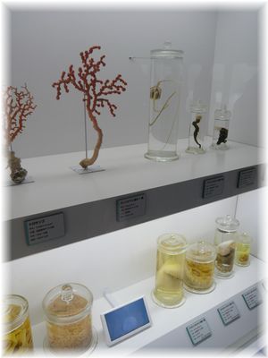 $よめ膳@YOMEカフェ