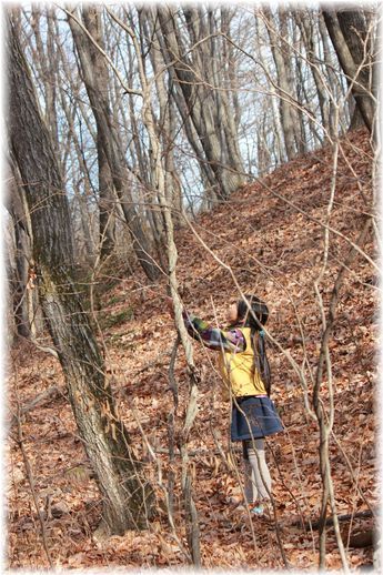 $よめ膳@YOMEカフェ