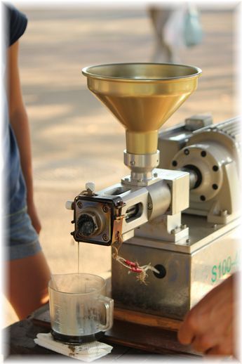 $よめ膳＠YOMEカフェ