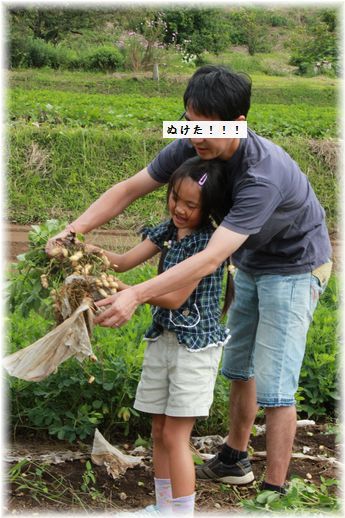 $よめ膳@YOMEカフェ