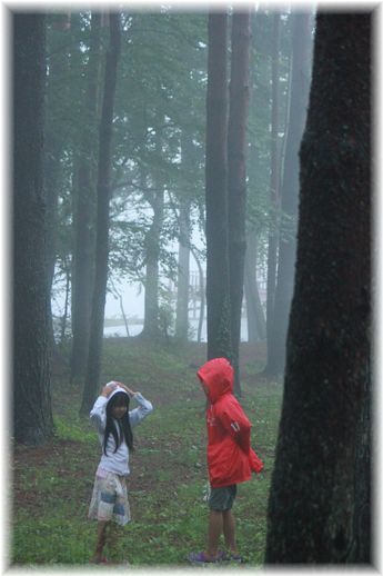 $よめ膳＠YOMEカフェ