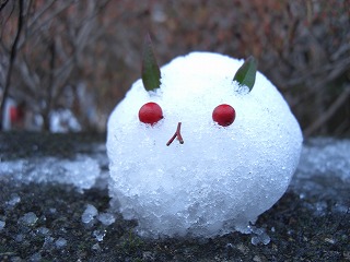 ただいま～。