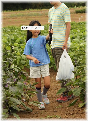 よめ膳@YOMEカフェ