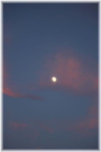 よめ膳＠YOMEカフェ