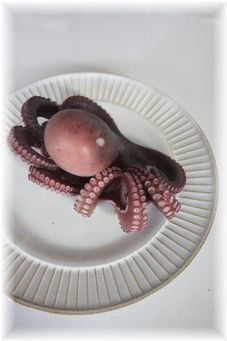 $よめ膳@YOMEカフェ