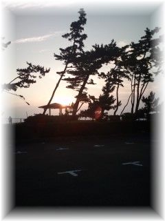 よめ膳＠YOMEカフェ