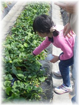 $よめ膳@YOMEカフェ