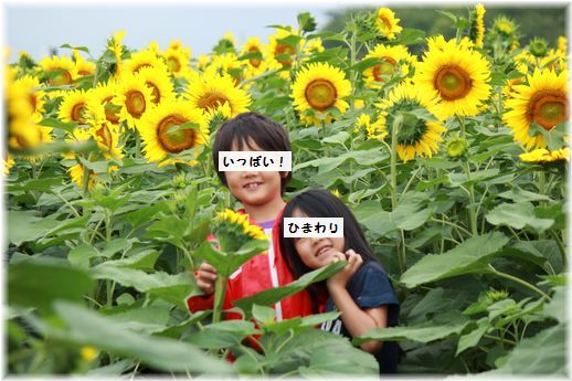 $よめ膳＠YOMEカフェ