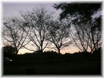 $よめ膳＠YOMEカフェ