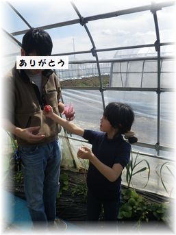 $よめ膳@YOMEカフェ