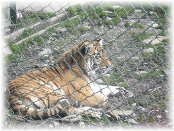 $よめ膳@YOMEカフェ