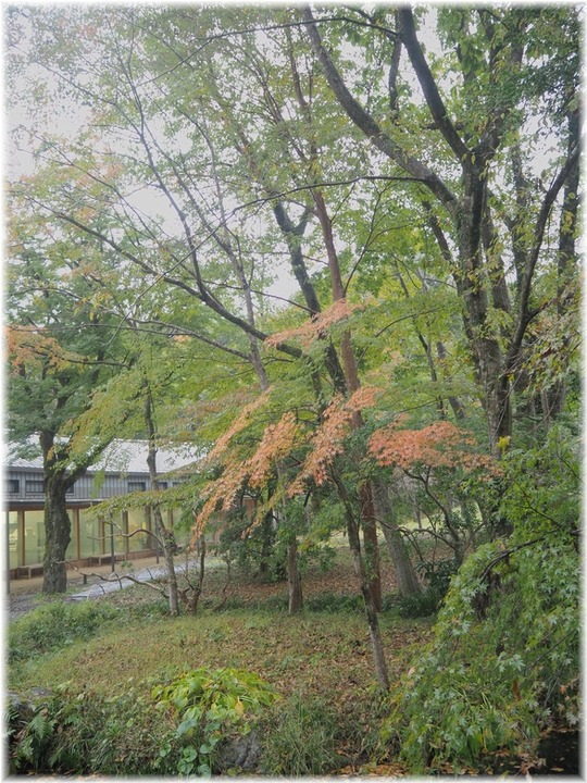P1010064 (2)