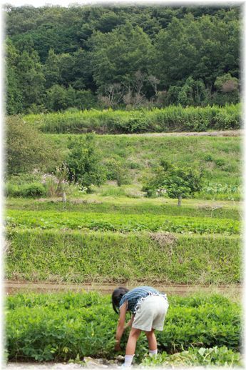 $よめ膳@YOMEカフェ