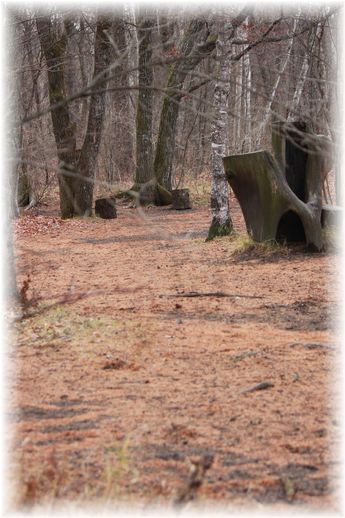 $よめ膳@YOMEカフェ