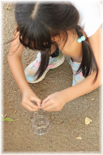 よめ膳＠YOMEカフェ