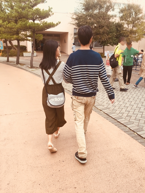 シーパラYHF17