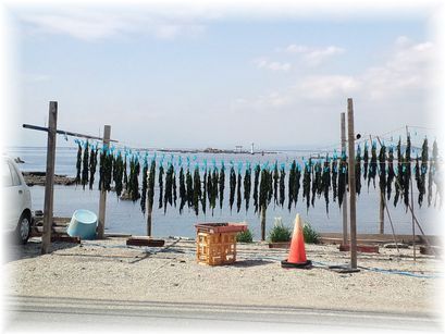 $よめ膳@YOMEカフェ