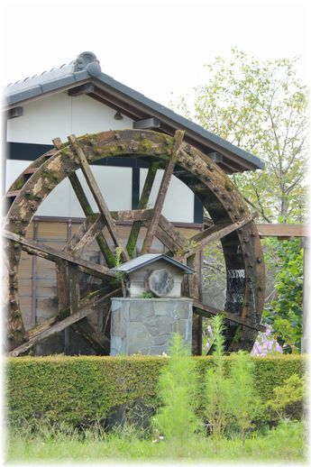 $よめ膳＠YOMEカフェ