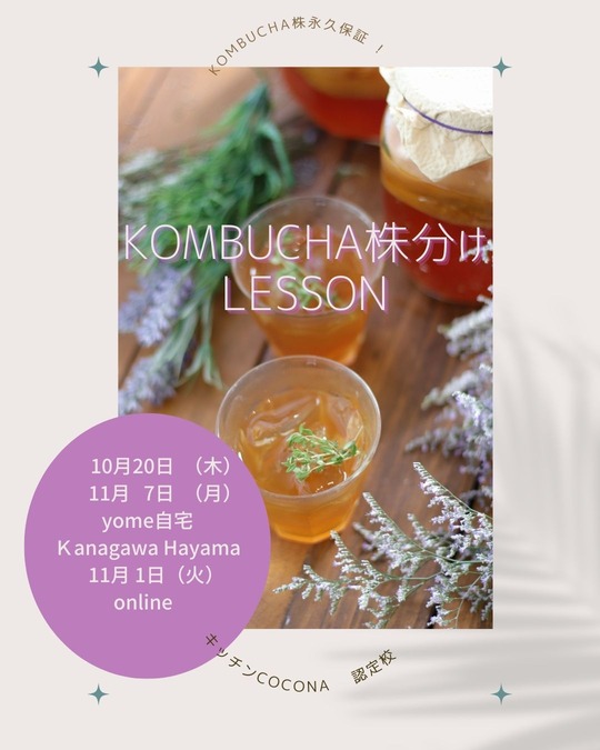 【お知らせ】10月・11月コンブチャ株分け会のお知らせ。