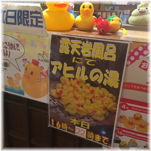 IMG-1637