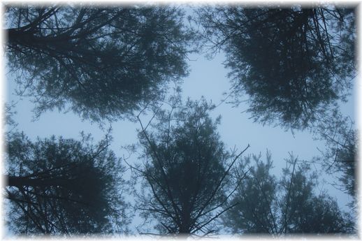 $よめ膳＠YOMEカフェ