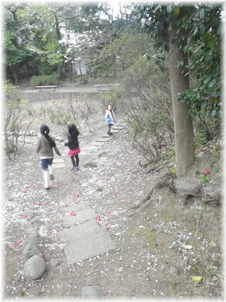 $よめ膳@YOMEカフェ