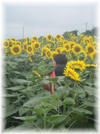 $よめ膳＠YOMEカフェ