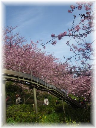 $よめ膳＠YOMEカフェ