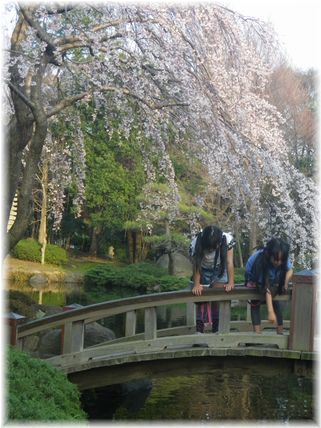 $よめ膳@YOMEカフェ