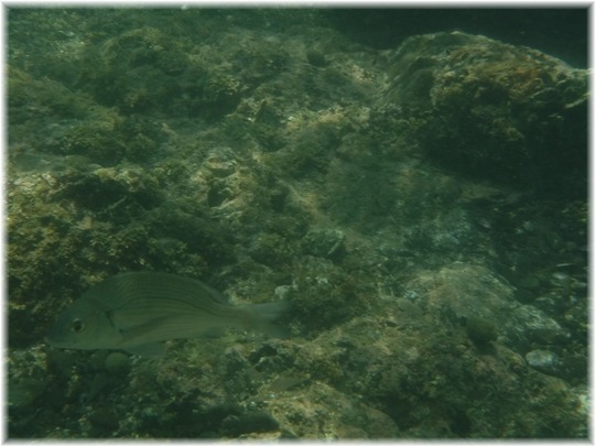 DSCF5027