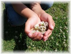 $よめ膳＠YOMEカフェ