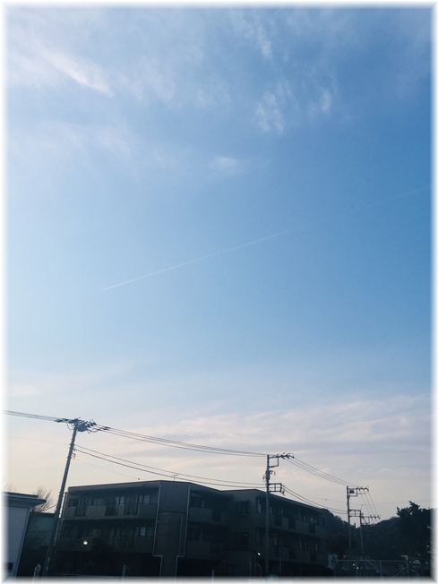 IMG-4441