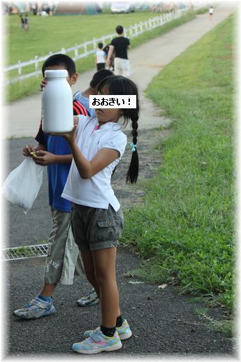 $よめ膳＠YOMEカフェ