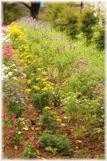 $よめ膳＠YOMEカフェ