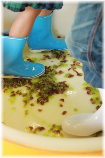 $よめ膳＠YOMEカフェ