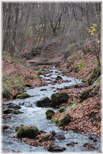 $よめ膳@YOMEカフェ