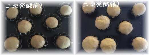 ちょこりんごYHF31