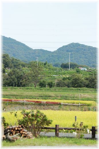 $よめ膳＠YOMEカフェ