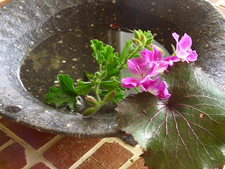 ピクニックで☆オフ会♪