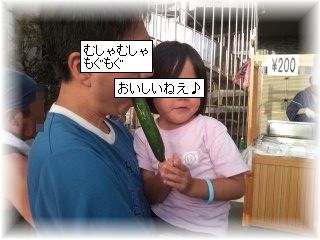 よめ膳＠YOMEカフェ