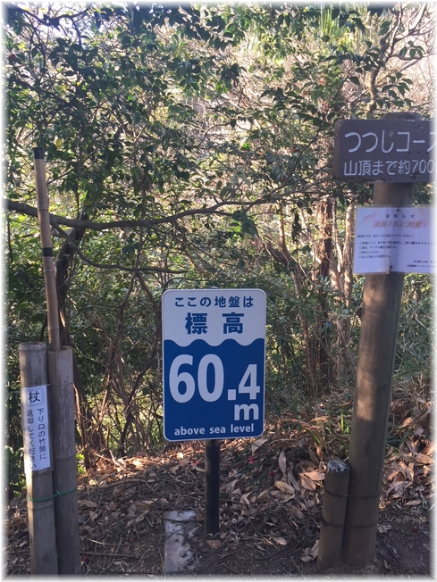 1aykogIMG_4471