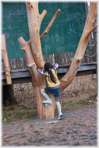 $よめ膳＠YOMEカフェ