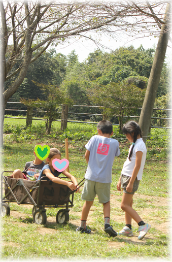 $よめ膳＠YOMEカフェ