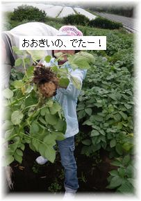 よめ膳@YOMEカフェ