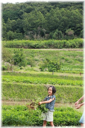 $よめ膳@YOMEカフェ