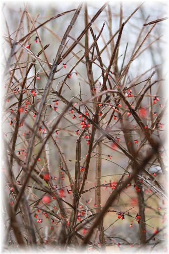 $よめ膳@YOMEカフェ