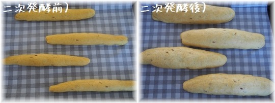 カレーYHF