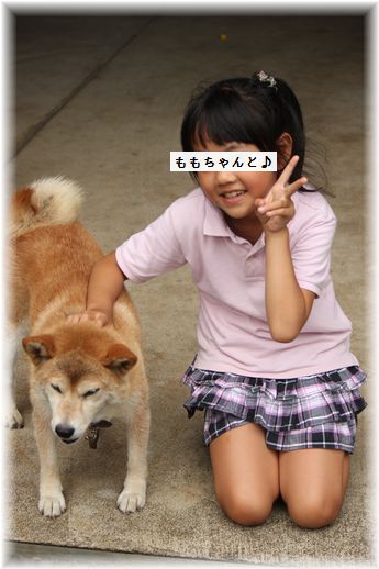 $よめ膳＠YOMEカフェ