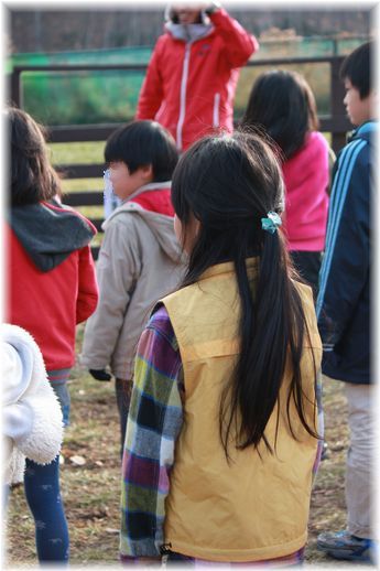 $よめ膳＠YOMEカフェ